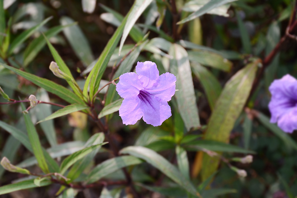 Galaxy·银河国际(中国集团)-官方网站